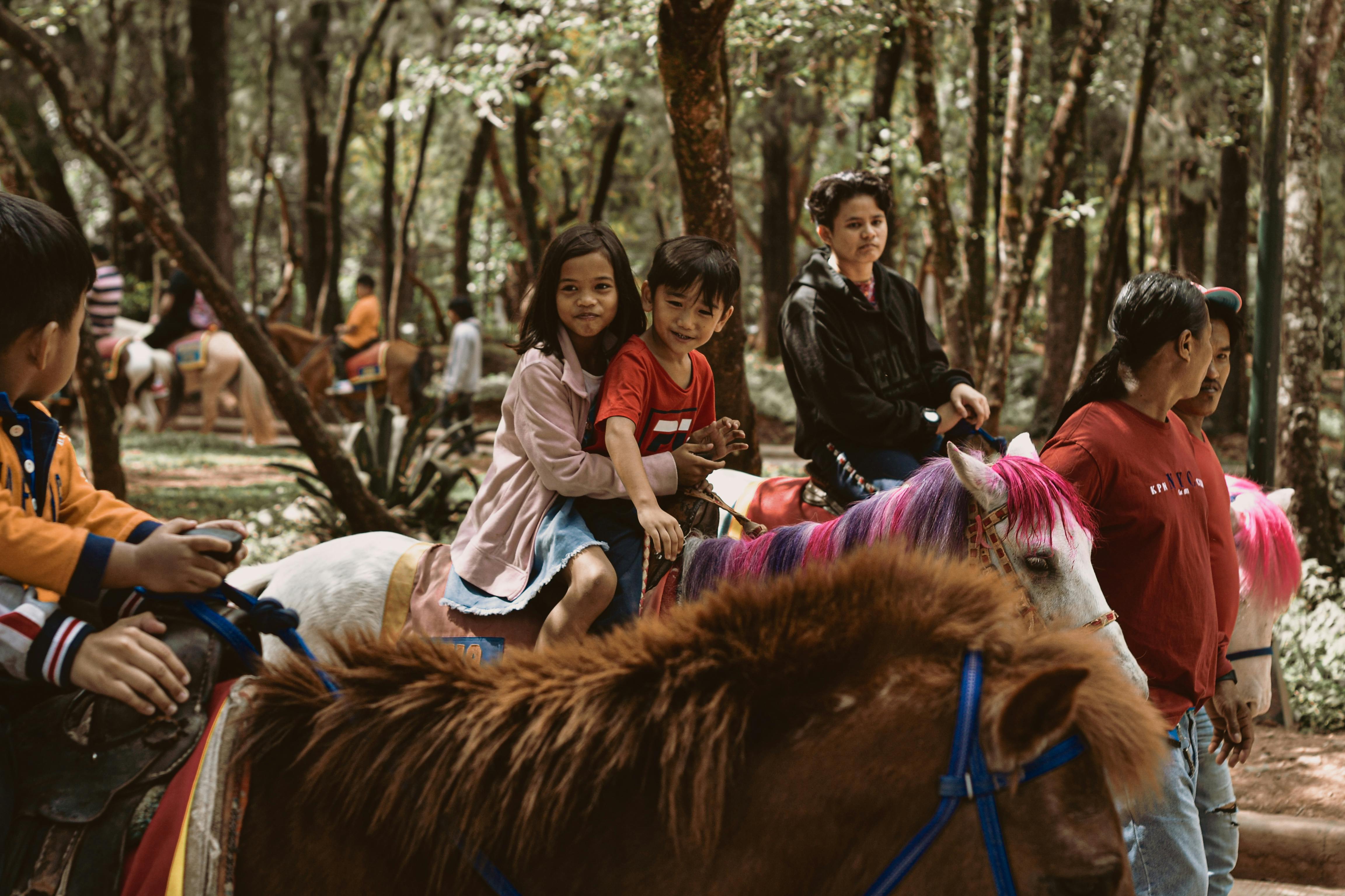 horse-back riding in mines view park